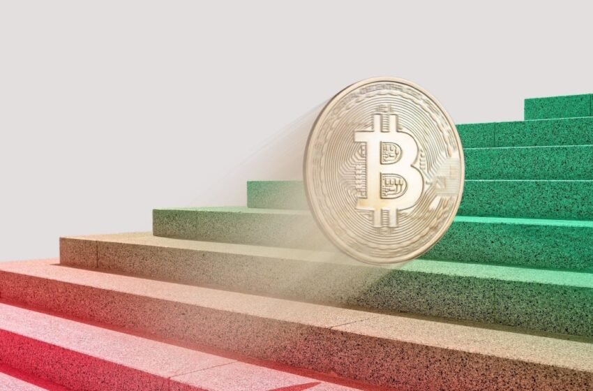  Bitcoin ETFs Attract Nearly $1 Billion in New Capital With Blackrock’s IBIT Dominating Inflows