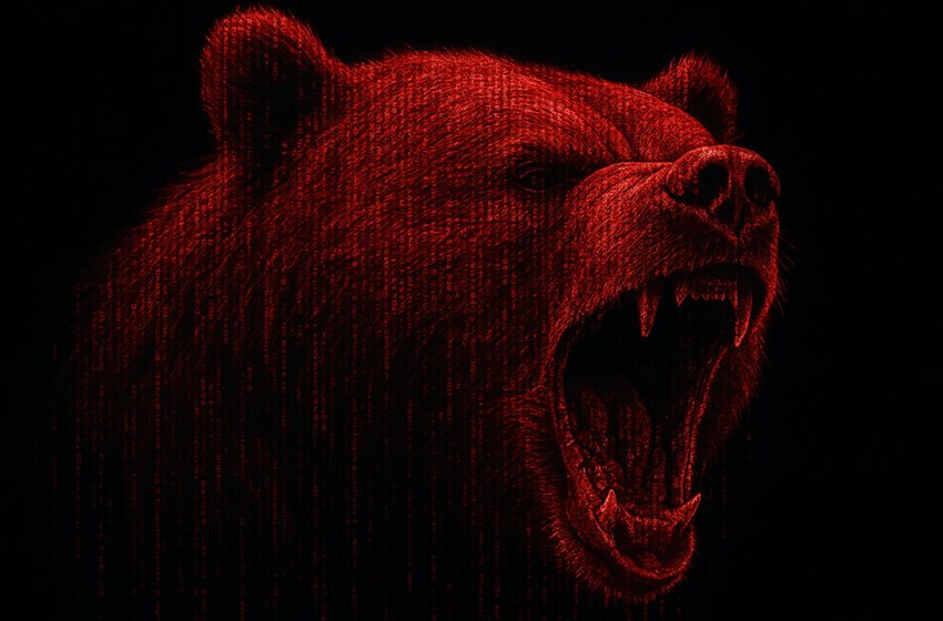  Realized Cap vs. Market Cap: Cryptoquant CEO Points to Bitcoin Bear Phase