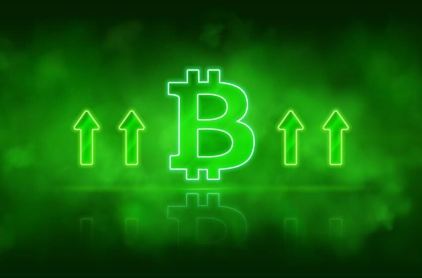  Bitcoin ETFs Rally With $221 Million Inflow as Ether ETFs See Heavy Sell-Off