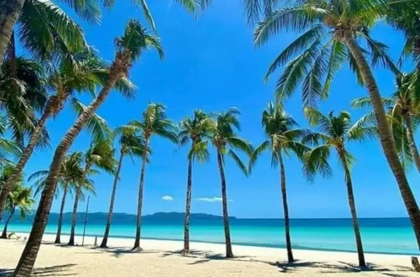  How to Buy and Use Bitcoin in the Philippines
