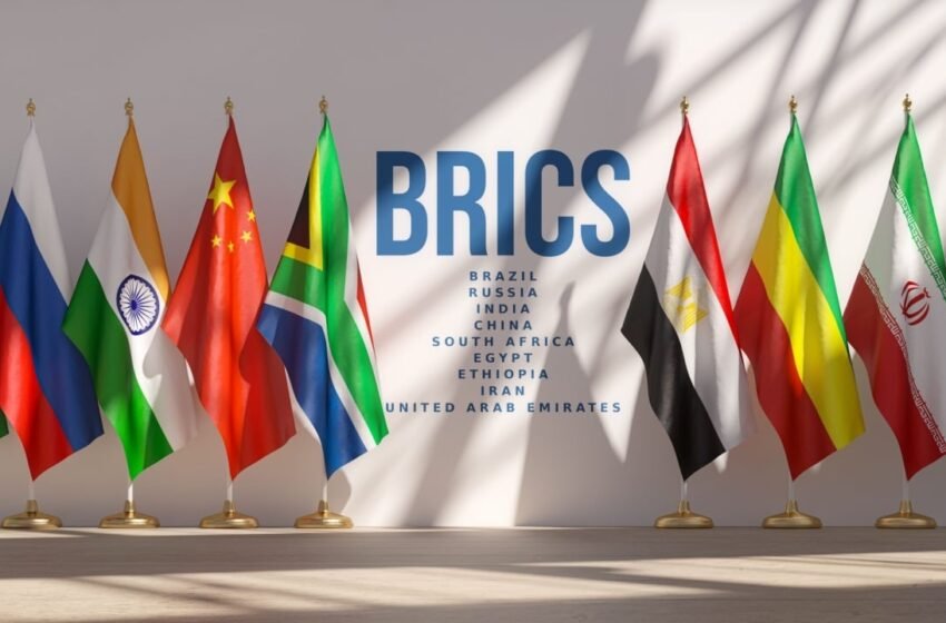  Russian Senator Anticipates Creation of BRICS+, Dozens of Nations Potentially Involved