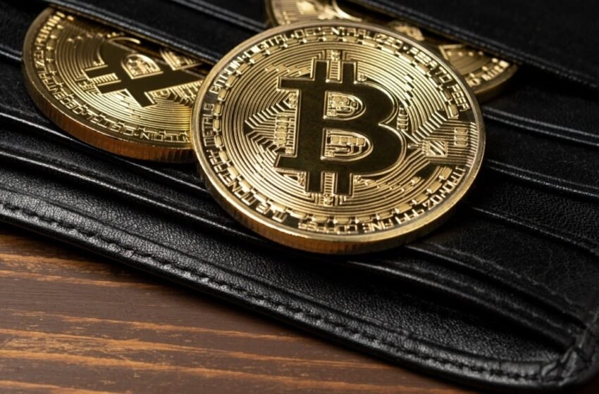  Bitcoin Permabull Max Keiser: Trump’s Great Reset Reinforces Bitcoin Status as the Best Hedge