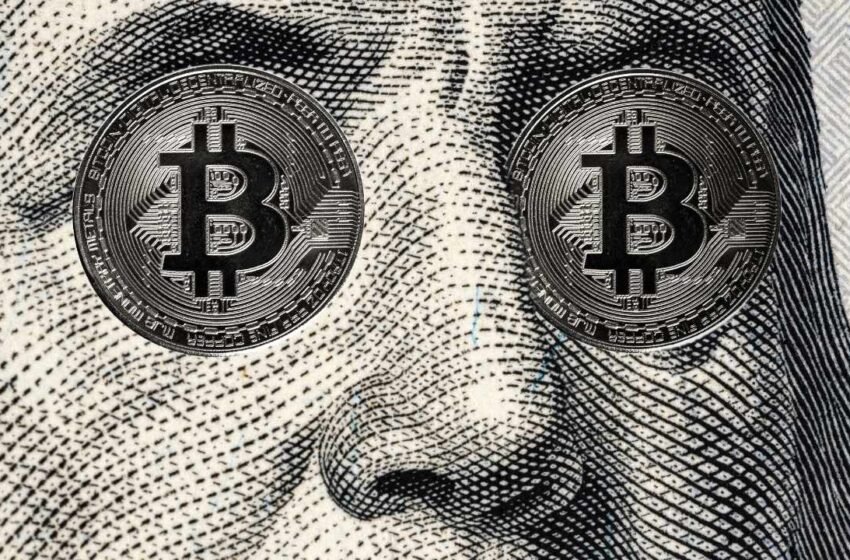  Tim Draper Foresees Bitcoin Could Be Worth Infinite US Dollars