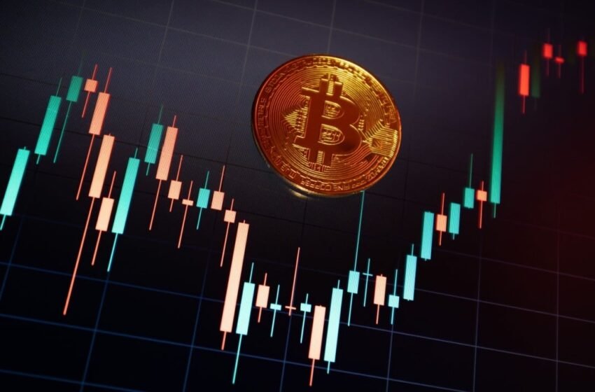  Blackrock Powers Bitcoin ETF Gains Despite Big Outflows From Rivals