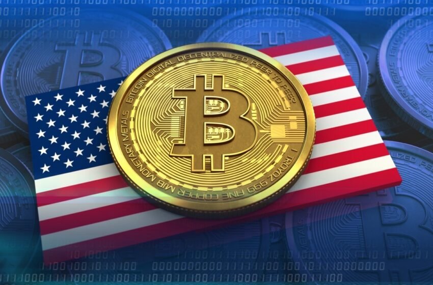  Study: US Leads Global Bitcoin Ownership With 14.3% Adoption Rate