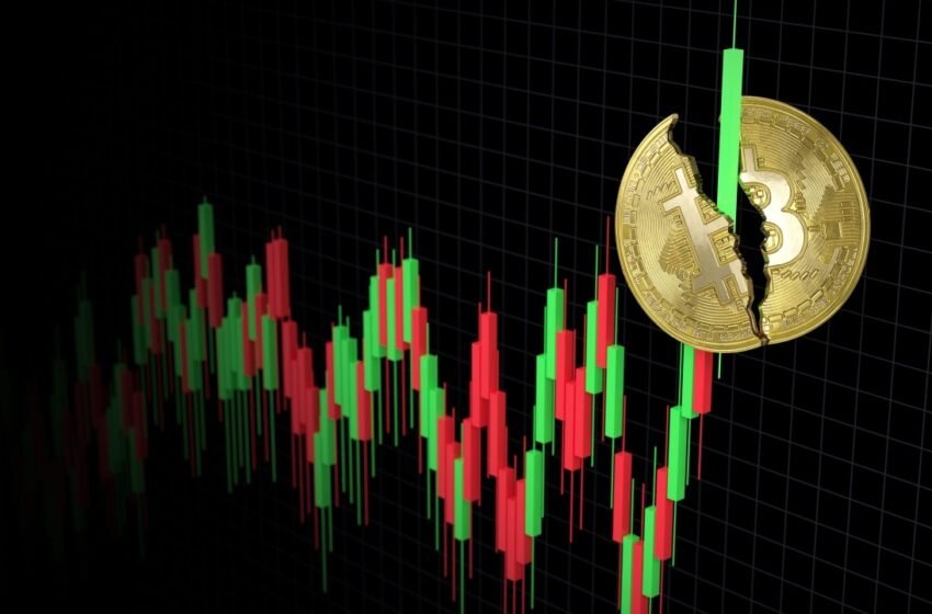  New Bitcoin All-Time Highs, Crypto ETFs Continue Hot Streak, and More — Week in Review