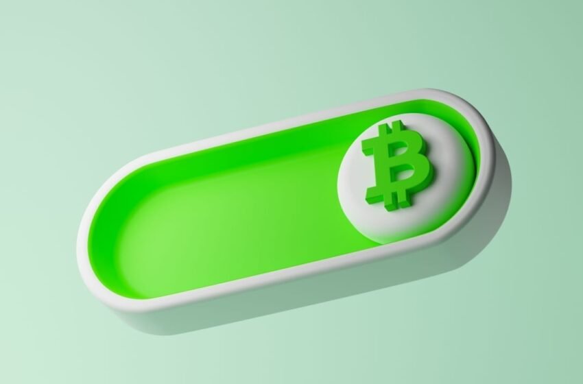  Bitcoin and Ether ETFs Roar With Over $1 Billion Combined Inflows in a Single Day