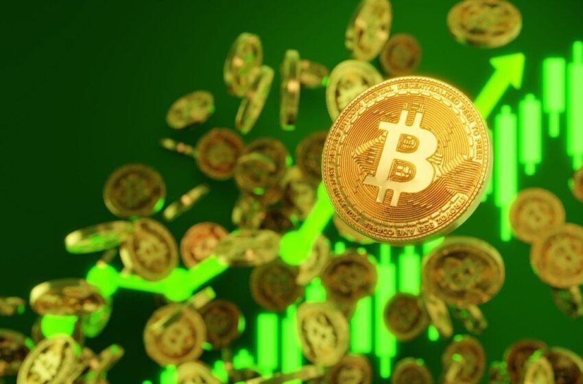  Bitcoin ETFs Bounce Back With $142 Million Inflow While Ether ETFs See Another Red Day