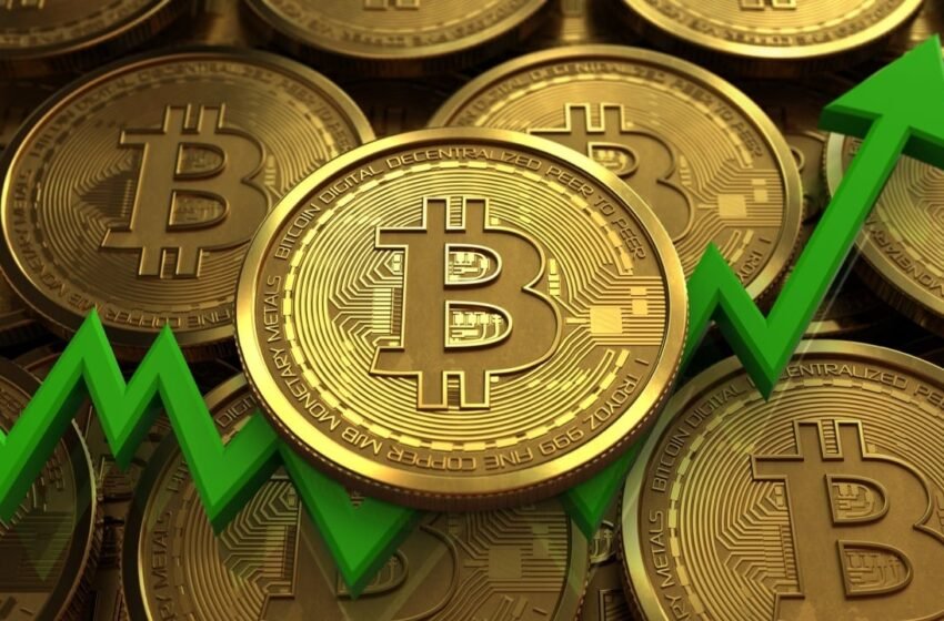  Bitcoin ETFs Hit 10-Day Inflow Streak With $433 Million Surge