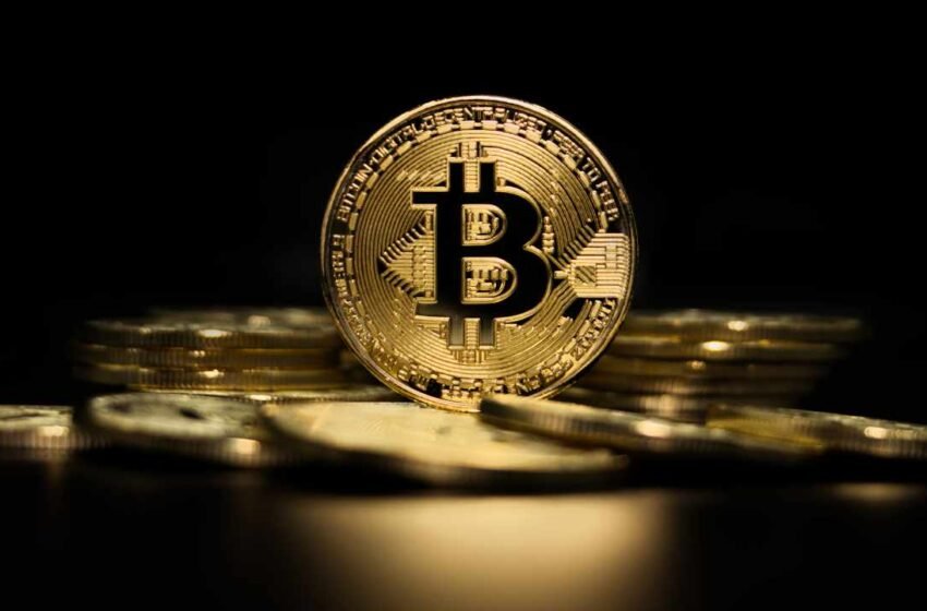  Bitcoin Treasuries May Reshape Corporate Finance Models, Advocate Says