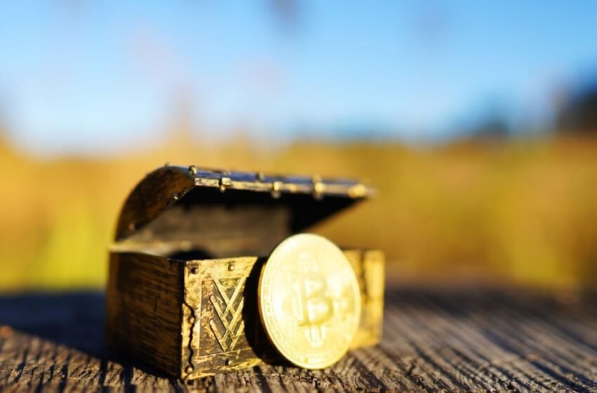  River CEO: Businesses Increasingly Buying Bitcoin