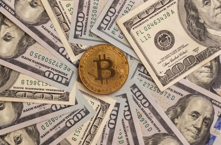  Former IMF Chief Economist: Bitcoin Undermines Dollar Hegemony in $25 Trillion Shadow Economy