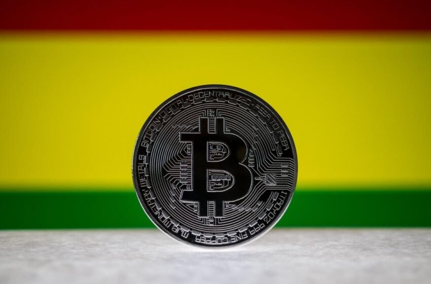  Bolivia Bans State Oil Company From Using Crypto for Energy Settlements