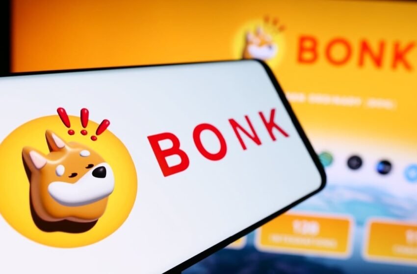  Solana Treasury Company DeFi Development Corp. Partners With BONK Memecoin to Launch Validator Node