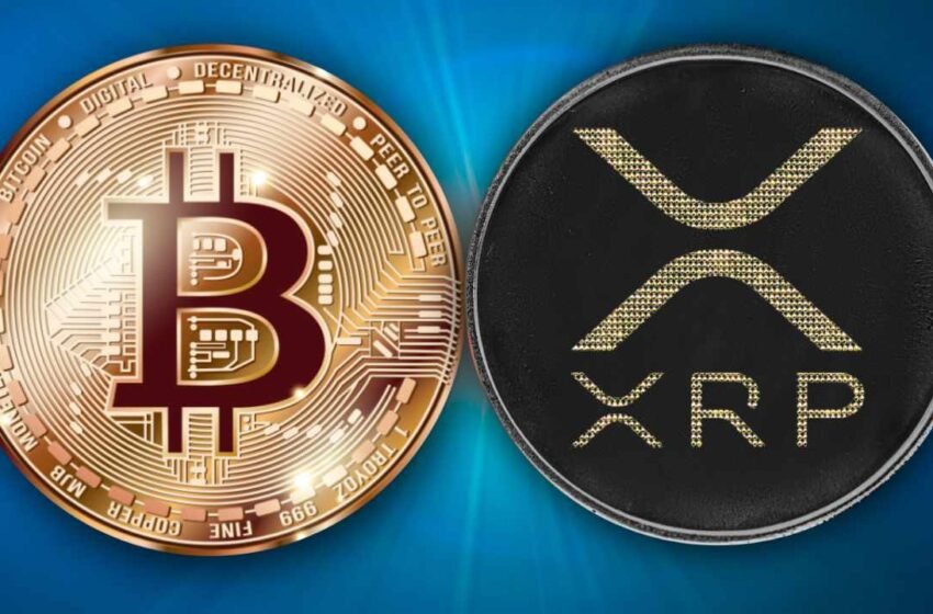  Ripple Donates ‘Skull of Satoshi’ — Says BTC and XRP Aren’t So Different