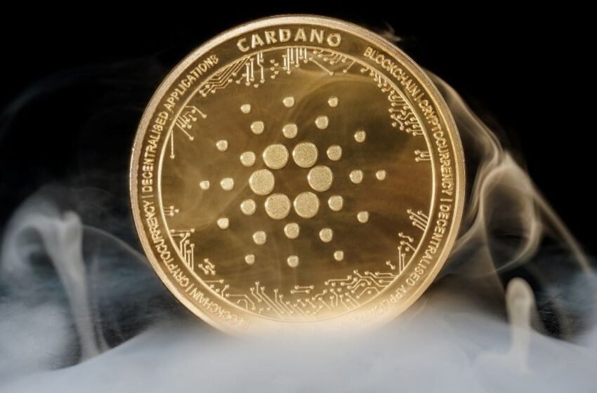  Cardano Coming to Brave: Browser Adds ADA Support