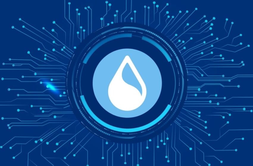  Cetus Protocol’s $223 Million Hack Puts Sui’s Decentralization in the Spotlight
