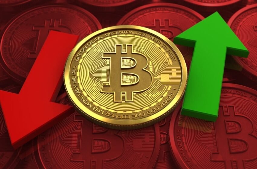  ETF Markets Regain Momentum as Blackrock’s IBIT Powers $422 Million Bitcoin Inflow