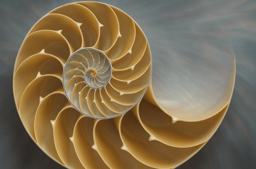  Fibonacci Retracement: A Trader’s Compass in the Bitcoin Market
