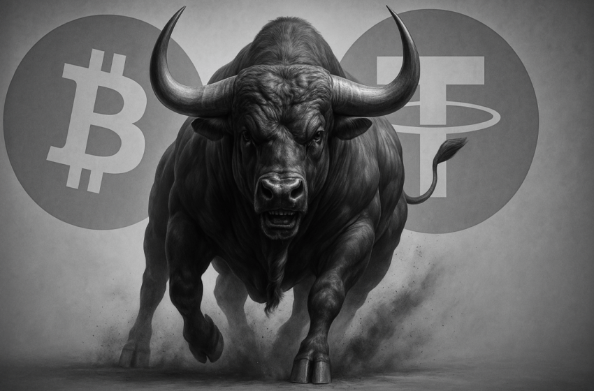 Bitwise CIO: Stablecoin Bill May Spark Multi-Year Crypto Bull Run 