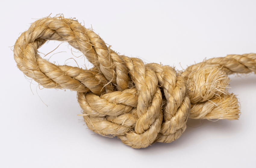  Spam Fight Heats Up: Bitcoin Knots Node Count Rises 49% in April