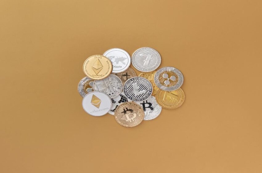  The Best Crypto Wallet for Gambling Daredevils – by BetUS