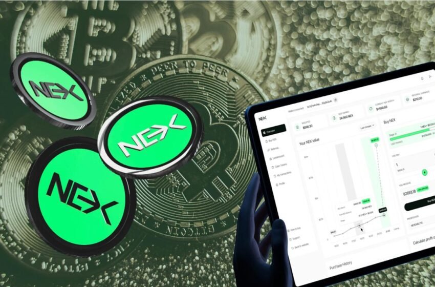 XRP Price Watch: Consolidation or Collapse? Meanwhile, Nexchain Surges With $3M Presale Raise