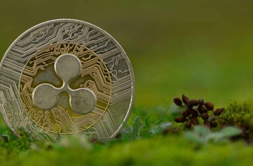  Ripple Launches First-of-Its-Kind $25M RLUSD Fund to Support US Education