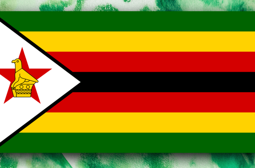  Zimbabwe Turns to Blockchain to Revive Carbon Credit Investor Confidence