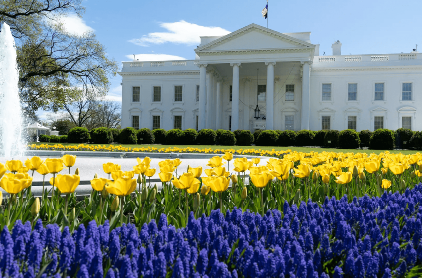  Crypto.com Expands US Presence With New DC Office Amid Trump’s Regulatory Shifts