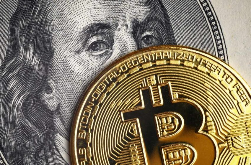  Elon Musk Backs Coinbase Warning: Bitcoin Could Replace Dollar Amid US Fiscal Crisis