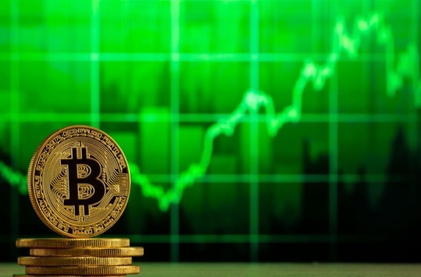  Bitcoin ETFs Post $216 Million Net Inflow as Blackrock Offsets Outflows From Fidelity and Ark 21shares