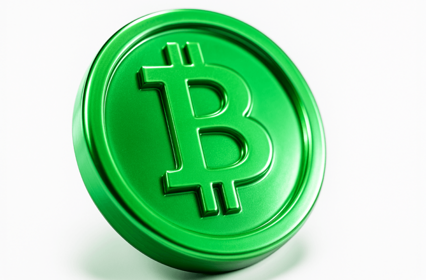  Crypto Market Sees Mixed Results: BCH Surges, Hyperliquid Dips