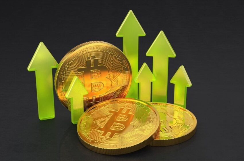  Bitcoin ETFs Record 8th Straight Inflow Day With $390 Million Surge