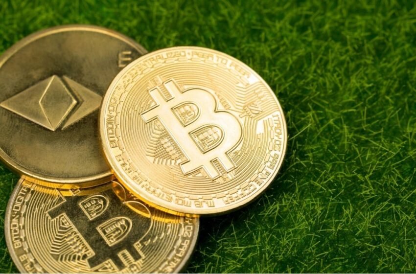  Bitcoin ETFs Roar Back After Three-Day Dip as Ether ETFs Extend Inflow Streak to Twelfth Day