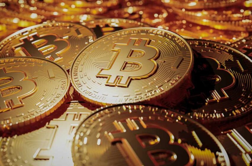  Bitcoin’s Main Rival Is US Treasuries, Not Gold, Says Bitwise CEO
