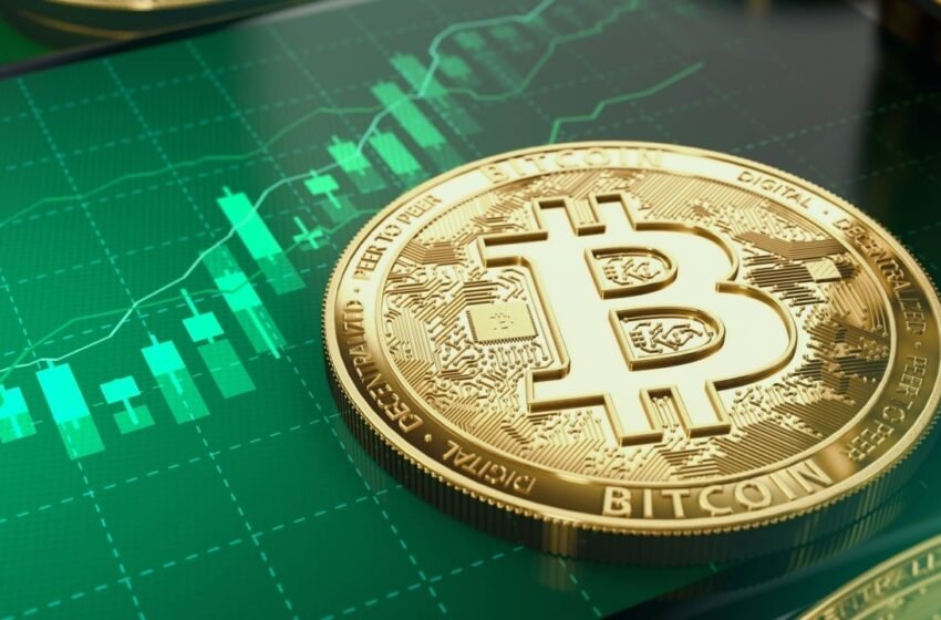  Blackrock and Fidelity Drive $548 Million Into Bitcoin ETFs