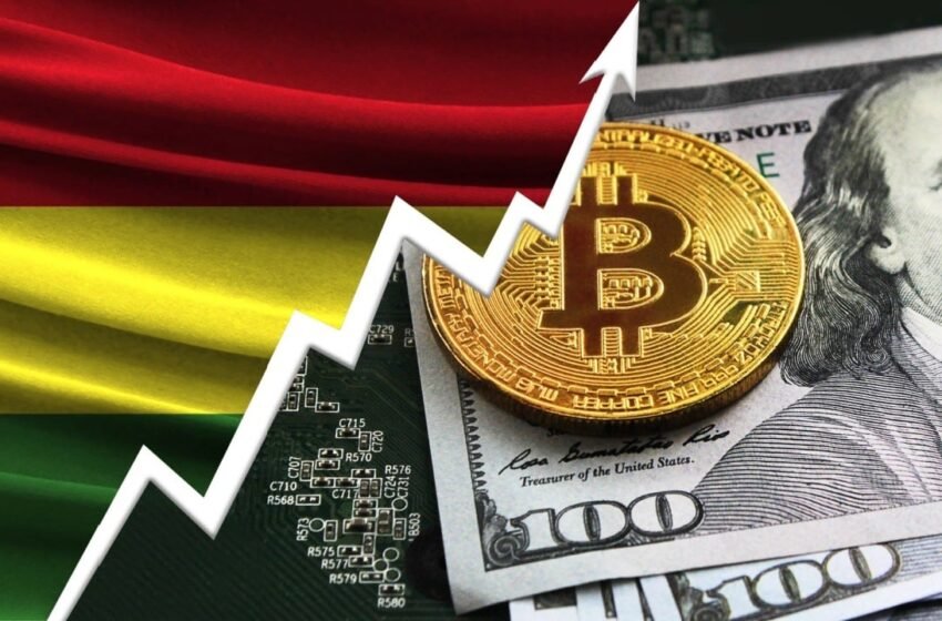  Central Bank of Bolivia Registers Record Use of Virtual Assets Amidst Dollar Scarcity