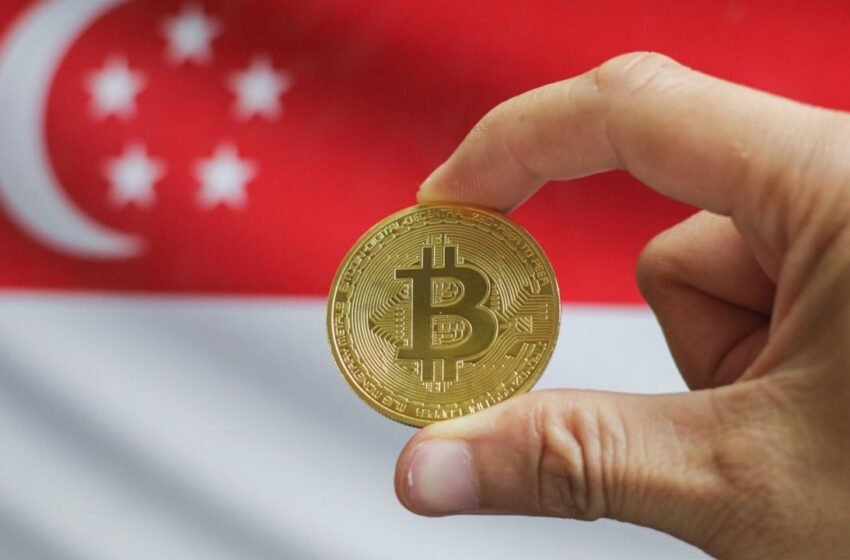  Davis Commodities Bets on Bitcoin in $30 Million Digital Assets Strategy