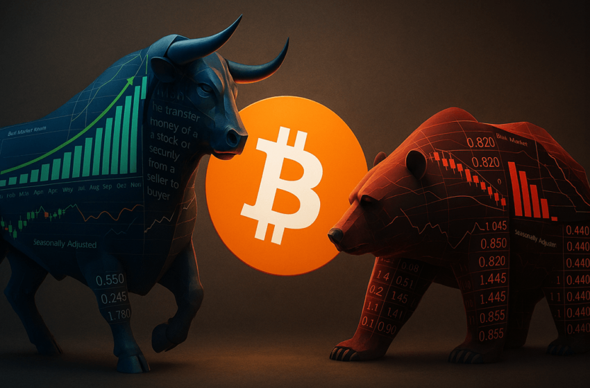  Bitcoin Price Watch: Can Bulls Push Past $110K or Will Bears Regroup?