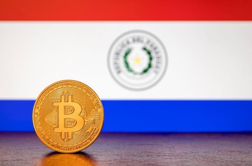  No One Fell for It: Paraguay’s Bitcoin Legal Tender Announcement Was a Zero-Sum Hack