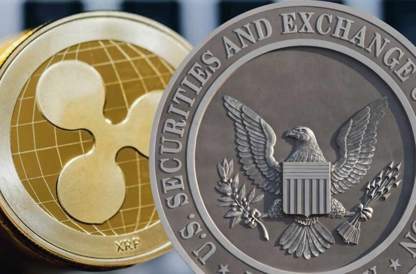  Ripple and SEC Ask Court to Pause Appeals as They Fight to End XRP Case