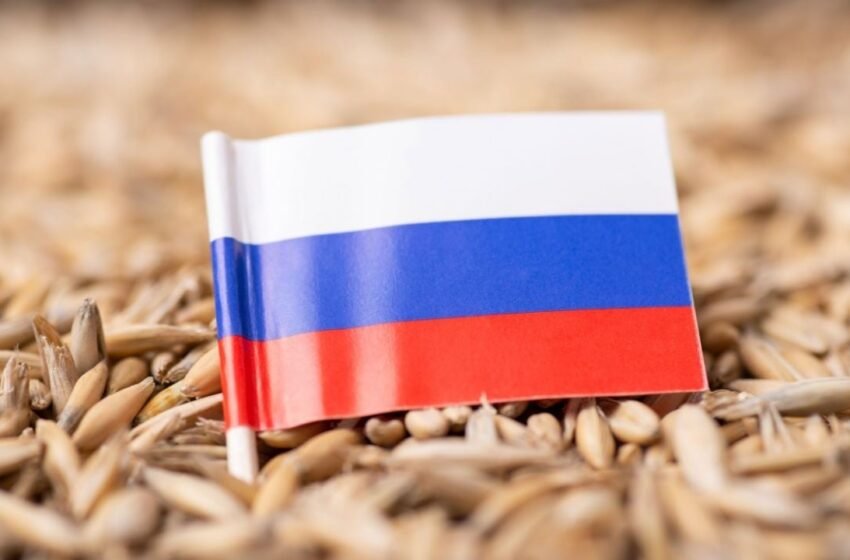  Russia Considers Crypto for Settling Grain Exports