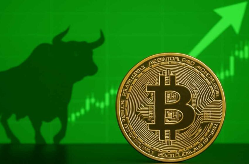  Strategy Unveils Stock IPO Plan to Fuel Relentless Bitcoin Expansion