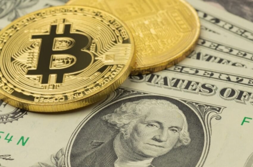  Willy Woo Predicts Bitcoin Market Cap Will Reach Global GDP Levels