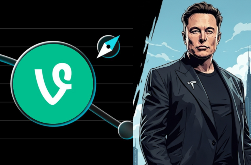  Can VINE cryptocurrency sustain the Elon Musk initiated bull run? Here’s a closer look