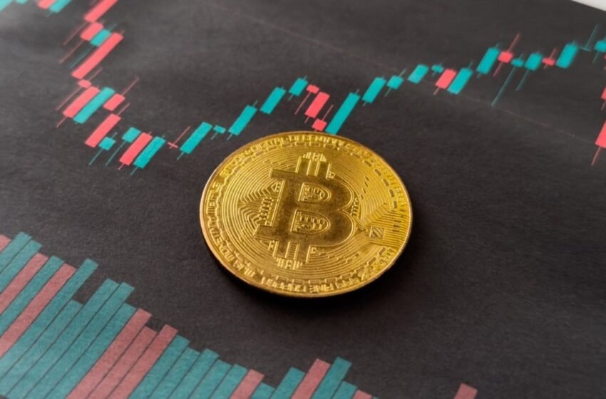 Bitcoin ETFs Bounce Back With $408 Million Inflow