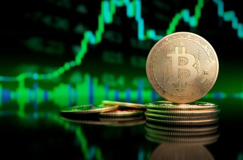  Bitcoin ETFs Score 5th Day of Inflows as Ether ETFs Hit Record-Breaking Volume