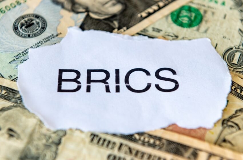  Brazil’s Ambassador to India Addresses BRICS Currency Speculation
