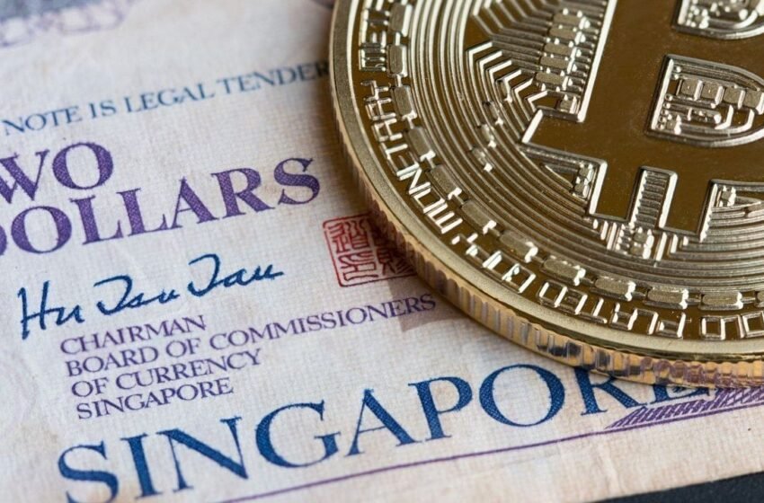  BTC Digital Buys $1 Million Worth of Bitcoin